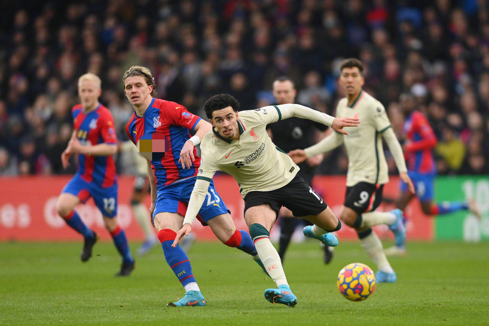 不仅全球体 不仅全球体