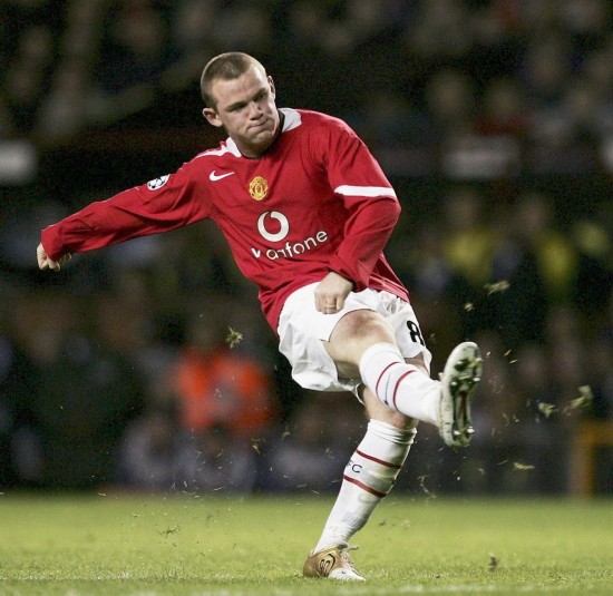 郑钦文的崛 郑钦文的崛